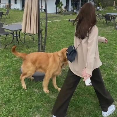 时间的针脚